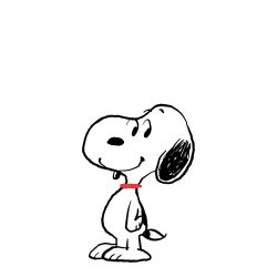 Snoopy 10. - ELŐRENDELÉS