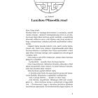 Bor és kard balladája 2. rész
